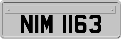 NIM1163