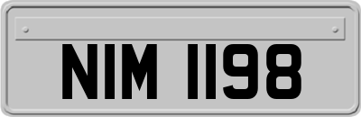 NIM1198