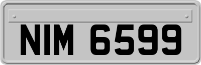 NIM6599