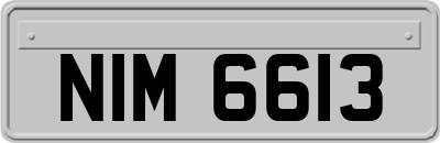 NIM6613