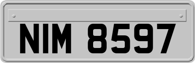 NIM8597