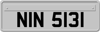 NIN5131