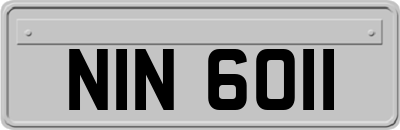 NIN6011