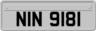 NIN9181