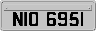 NIO6951
