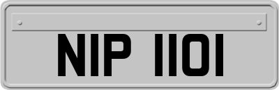 NIP1101