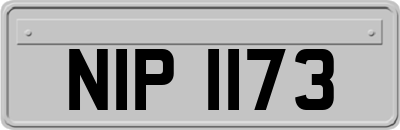 NIP1173