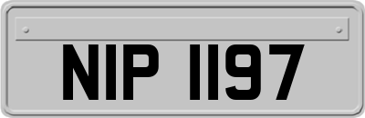 NIP1197