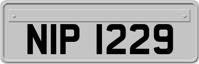 NIP1229