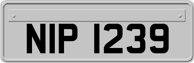 NIP1239