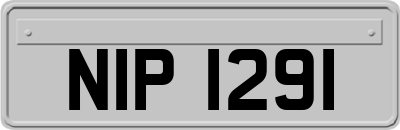 NIP1291