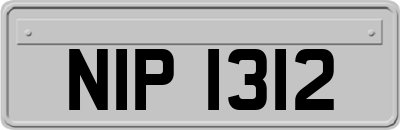 NIP1312