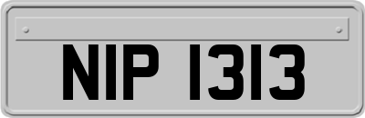 NIP1313