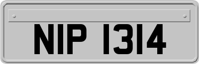 NIP1314