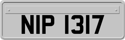 NIP1317