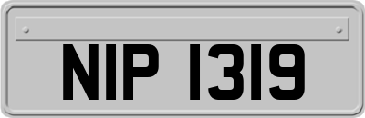 NIP1319