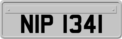 NIP1341
