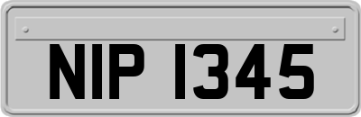 NIP1345
