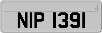 NIP1391