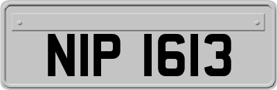 NIP1613