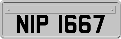 NIP1667