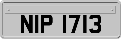 NIP1713