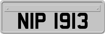 NIP1913