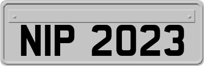NIP2023