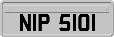 NIP5101