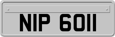 NIP6011