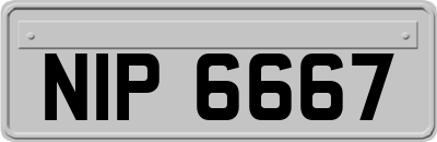 NIP6667