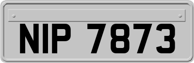 NIP7873