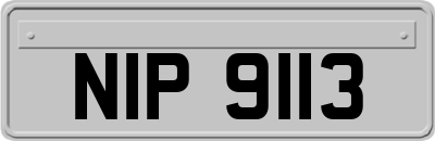 NIP9113