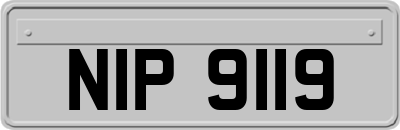 NIP9119