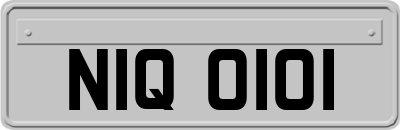 NIQ0101