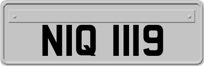 NIQ1119