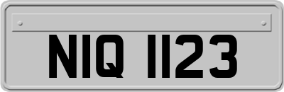 NIQ1123