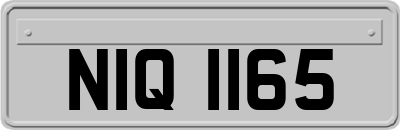 NIQ1165