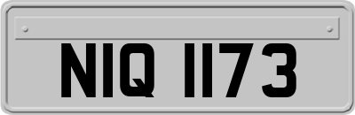 NIQ1173