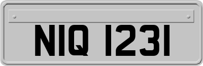 NIQ1231