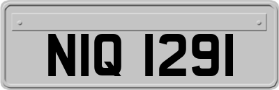 NIQ1291