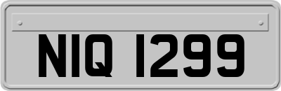 NIQ1299