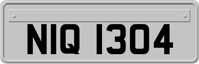 NIQ1304