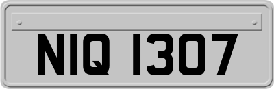NIQ1307