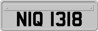 NIQ1318