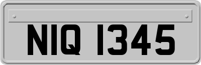 NIQ1345
