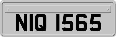 NIQ1565