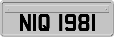 NIQ1981