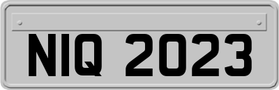 NIQ2023