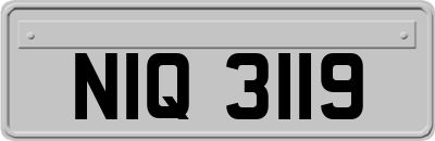 NIQ3119